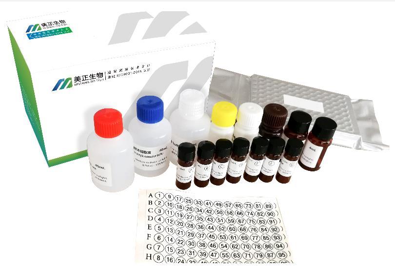 美正生物过敏源性PCR产品