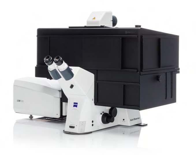 LSM 980 激光共聚焦显微镜