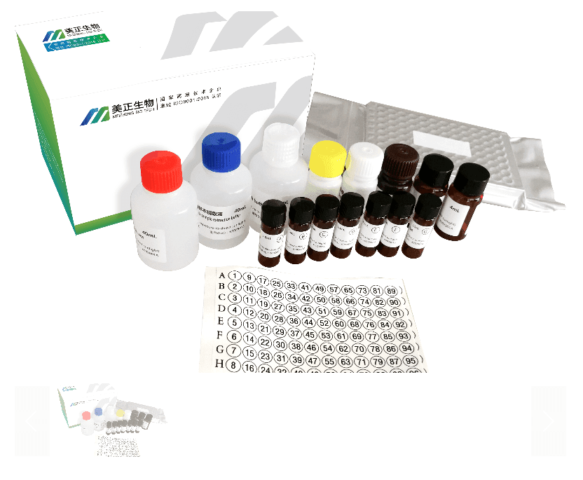 金黄色葡萄球菌肠毒素分型试剂盒