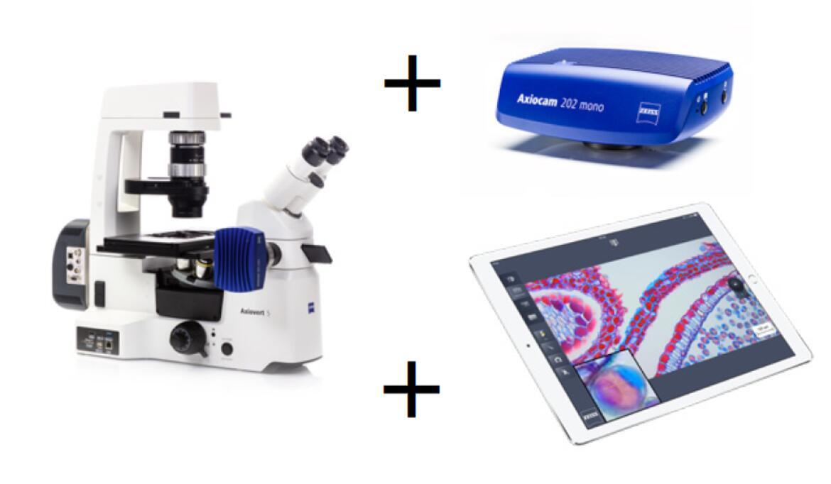 Axiovert 5 多功能应用研究级倒置显微镜