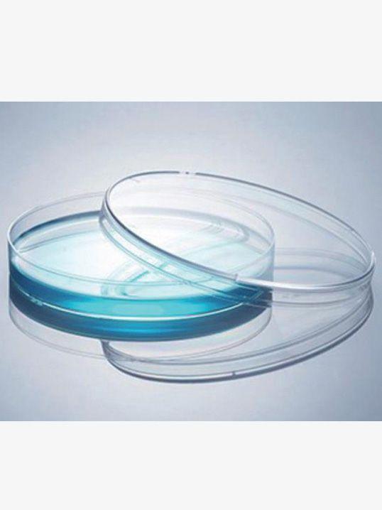 细菌培养皿